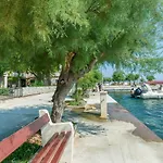 Roko *