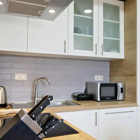 Apartment Roko *
