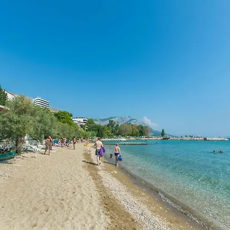 Roko Duće